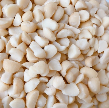 9-12 mmNo. 5 Macadamia Broken kernel
