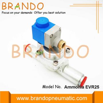 1 &#39;&#39; Amonyak EVRA 25 Soğutma Solenoid Valfı