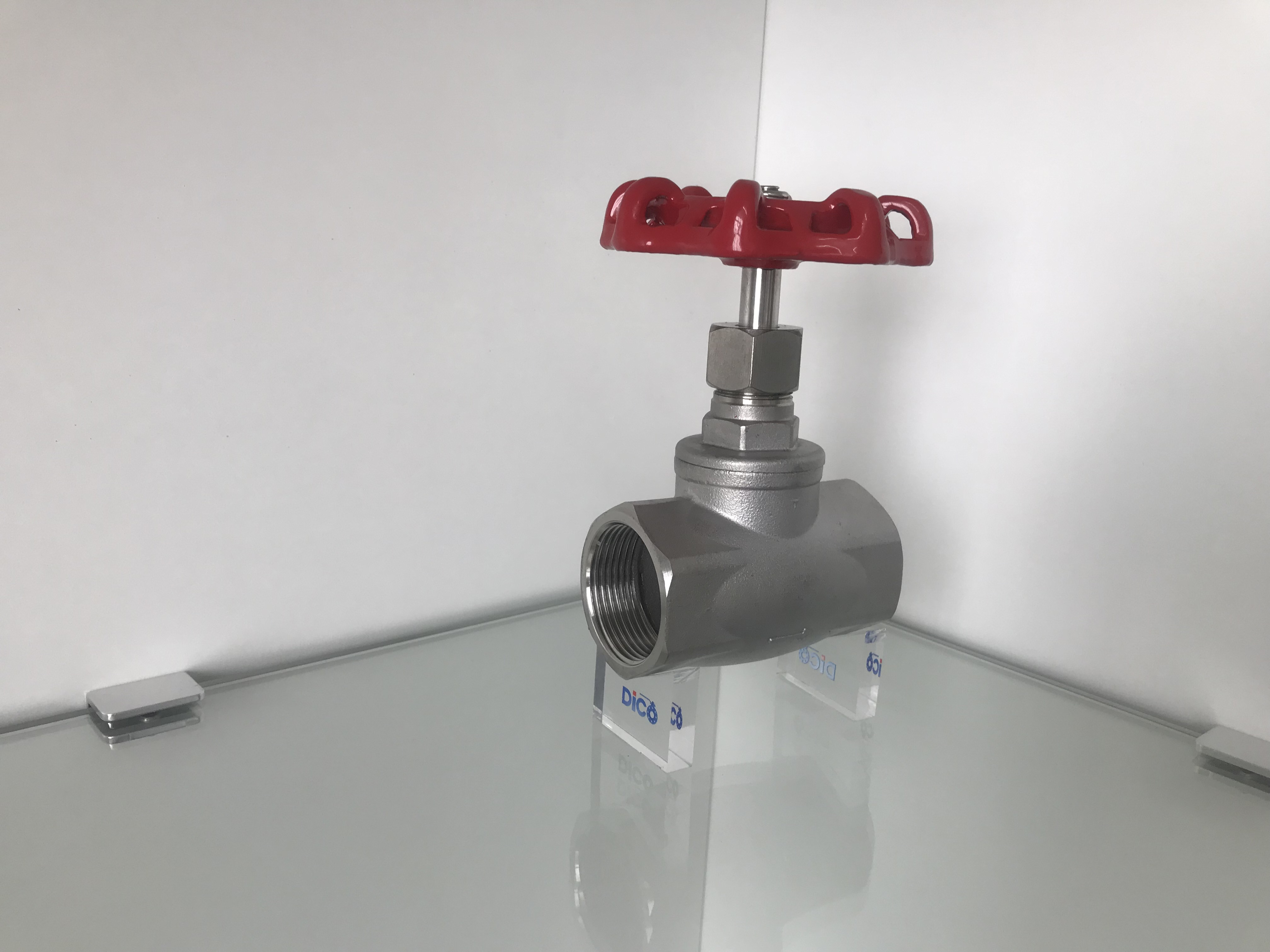 globe valve