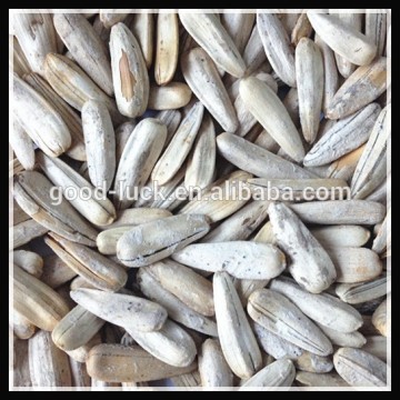 Roasted And Salted White Sunflower Seeds , 2015 Crop