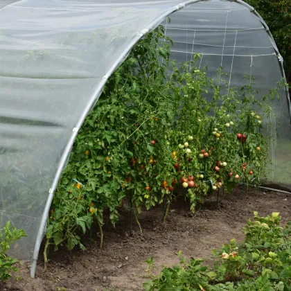EU PROFI 4x4.5x2.5m Tunnel Greenhouse: Easy Ventilation Control