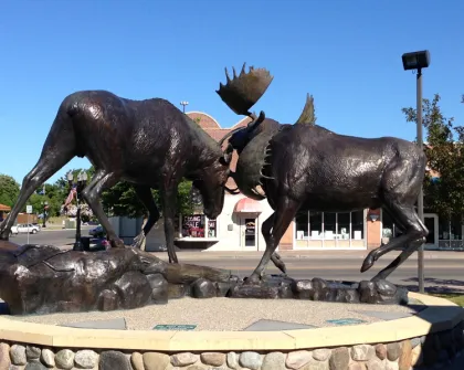 brass moose statue