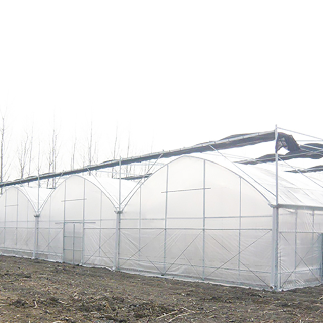 greenhouse 2