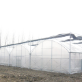 Komplett uppsättning värmebevarande kycklinghus växthus
