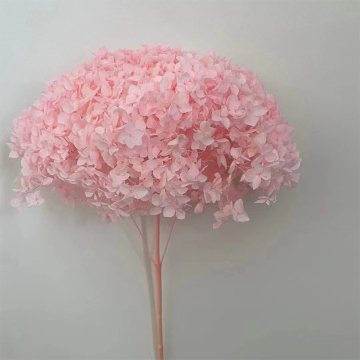 Large Natural Dried Hydrangea Flowers with Pole - Yunnan Origin