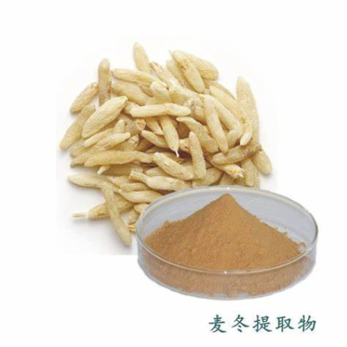 Free Sample ophiopogon japonicus root extract