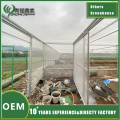 Эфектыўная чыстая цяпліца для камерцыйнай сельскай гаспадаркі