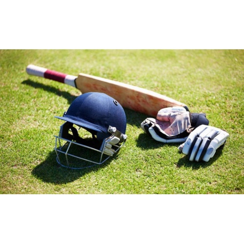 Long service life Durable Green Cricket Grass