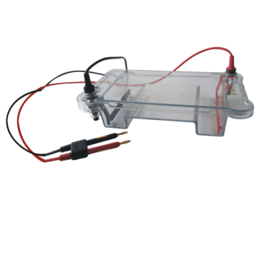 Affordable Electrophoresis Machines with Good Quality