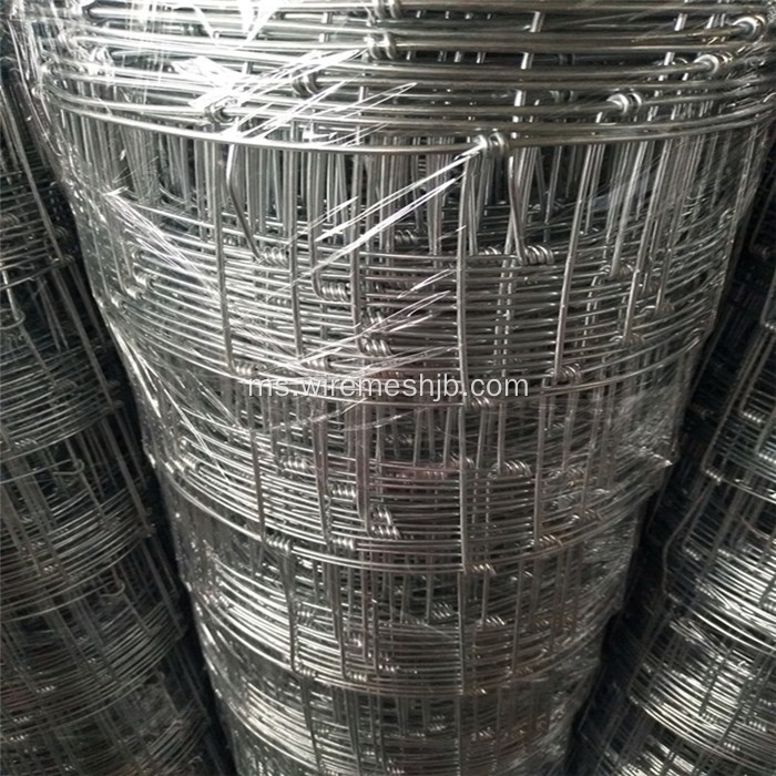 1.6M * 50M Galvanized Steel Wire Kraal Network