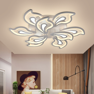 HIVIES Creative Style Dimmer Fixtures - Surface Mounted LED Ceiling Lights for Hotels