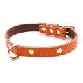 Orange collar