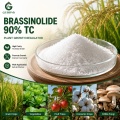 24-Epibrassinolide 90% TC Brassinosteroid منظم نمو النبات
