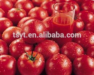 70G-4500G China hot sell tomato paste