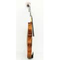Massief houten handgemaakte primaire viool