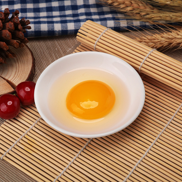 egg .