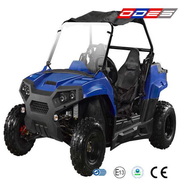 Youth UTV 150cc for Kids with EEC and EPA