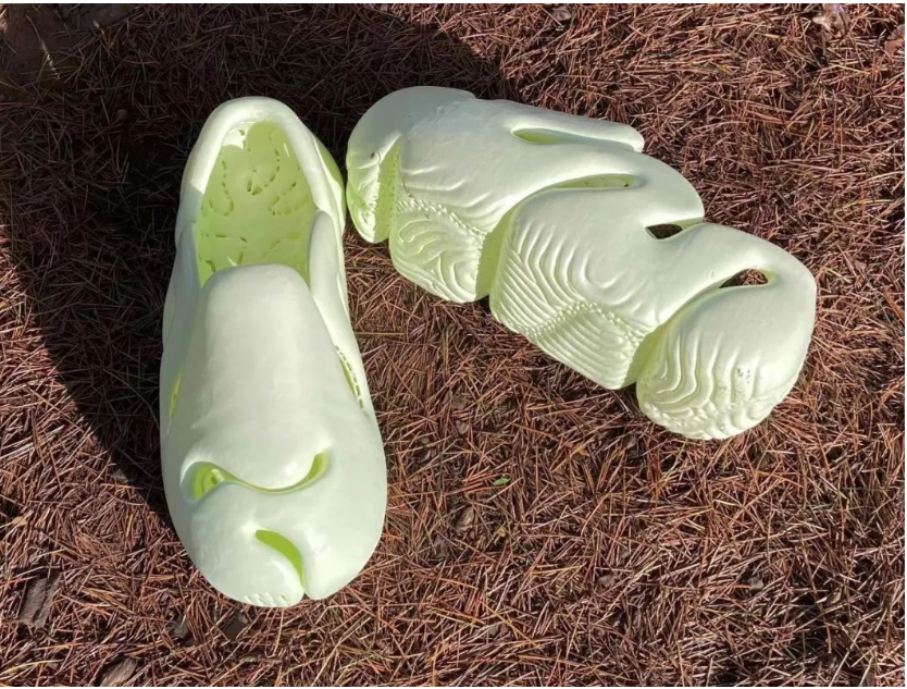SLA printed shoes