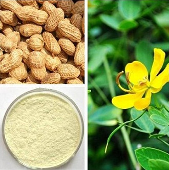 Natural Luteolin 98% Powder