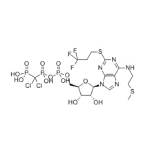 An Antiplatelet Drug for Intravenous Cangrelor 163706-06-7