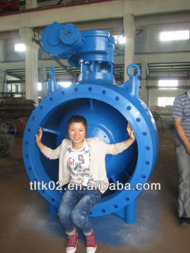 DN1000mm flow control valve