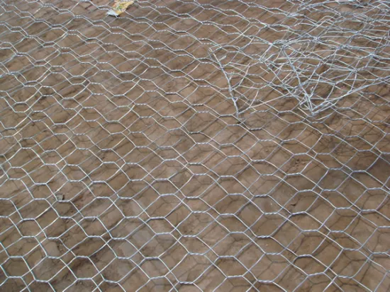 Stainless Steel Hexagonal Wire Netting