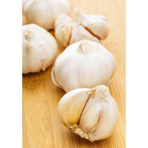 5,5 cm Factory Pure White Fresh Knoblauch