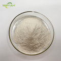 High Quality Sunflower Seed Protein Extracts