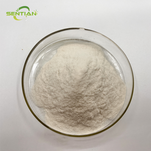 High Quality Sunflower Seed Protein Extracts