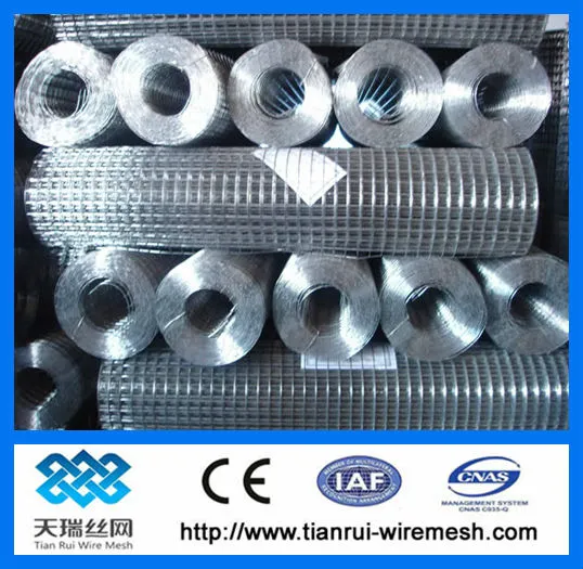 stainless steel Welded Wire Mesh/ welded netting/building wire mesh