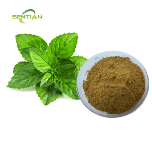 pure peppermint extract powder