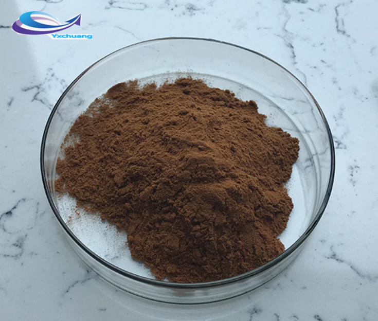 Sparassis Crispa Extract