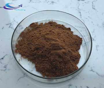 Health Care Material Sparassis Crispa Extract