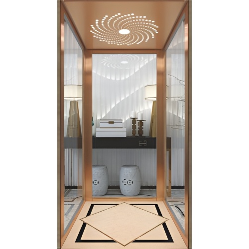 Sightseeing Elevator for Home Lifts