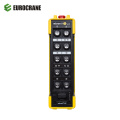 Radio Remote Control for Crane