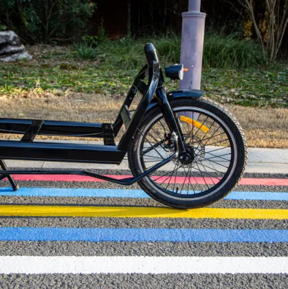 electric cycle battery cargo bicycle electric family bike