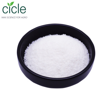 L-Cysteine Cystine Powder 99%