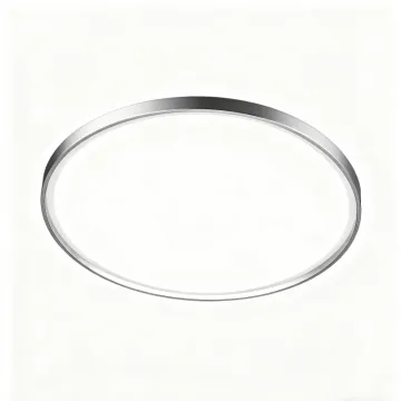 LED Ceiling Light for Cozy Living Room