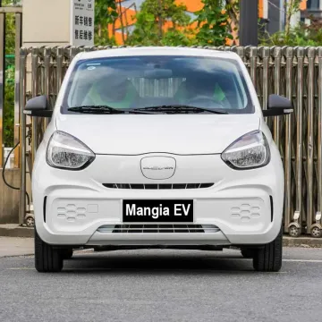 High-Quality New Electric Car Made in China Will Be Popular in 2023 and 4-Wheel Electric Car Will Be Available for Sale with Rechargeable New Energy