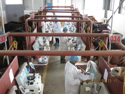 Tetanus Immunized Horse Sera