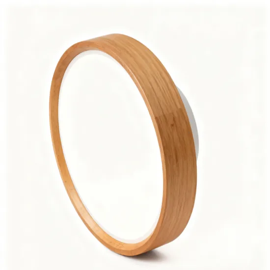 LED Ceiling Light for Hallway Entrance