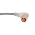 Conector fêmea de ângulo reto M12 com indicador LED