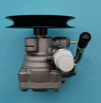 Lotus PW531883 Power Steering Pump