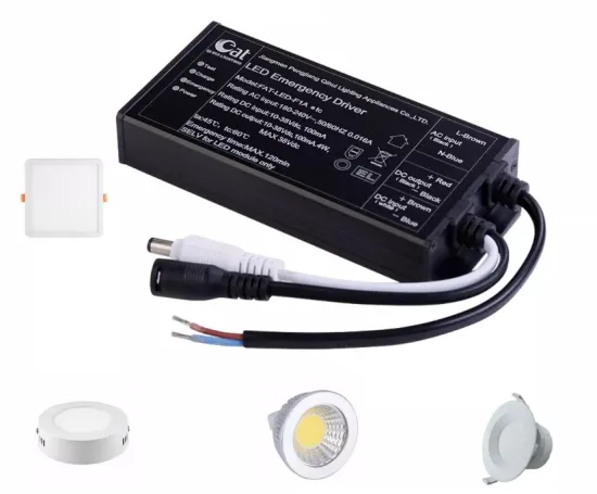 3-40W Li-ion Battery CE LED Emergency Driver
