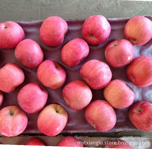 small red fuji apple on sale China small apple size export to nepal