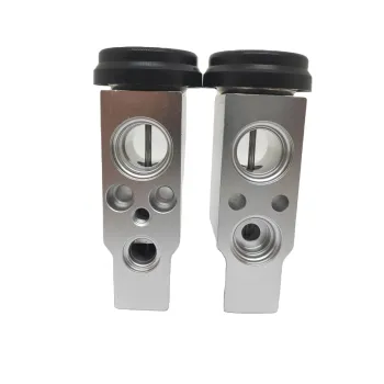 Chinese Manufacturers Direct Sales: Isuzu Auto AC Parts Expansion Valve (9A70)