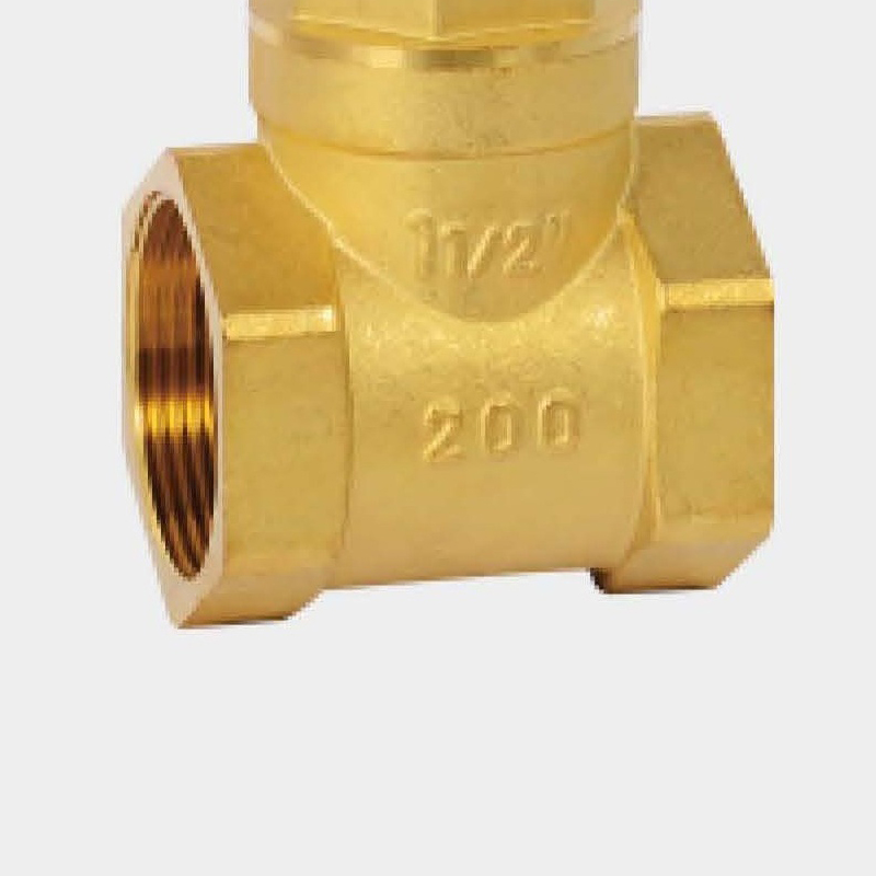 Horizontal Check Valve