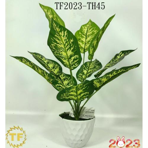 46cm Hosta leaf x 12 with plastic Pot