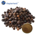 Black Pepper Extract Powder