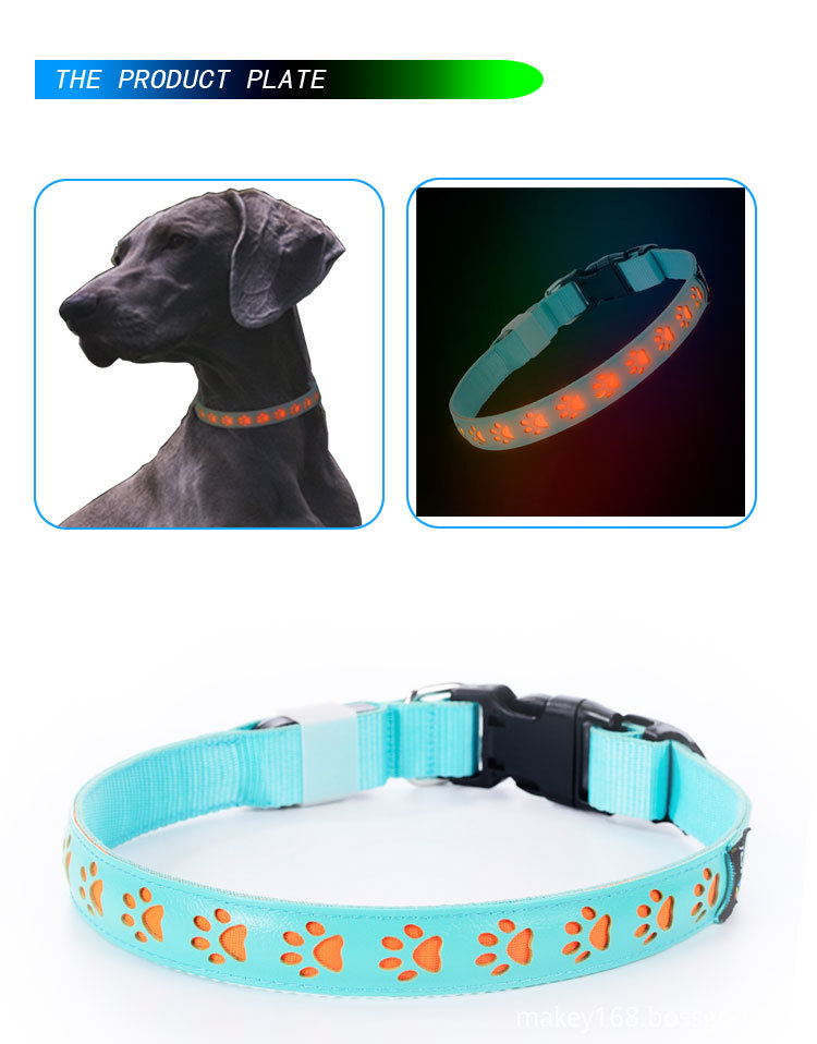 Glow Pets Collar 